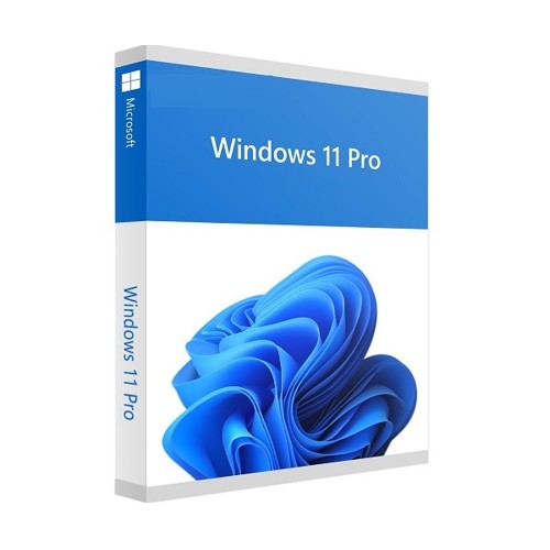 Windows 11 Professionnal
