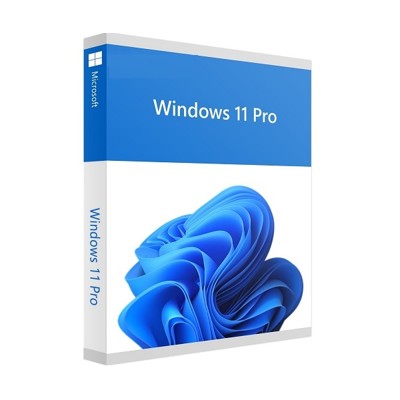 Windows 11 Professionnal